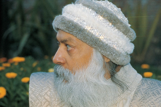 The Poet Begins, You Complete | Osho News