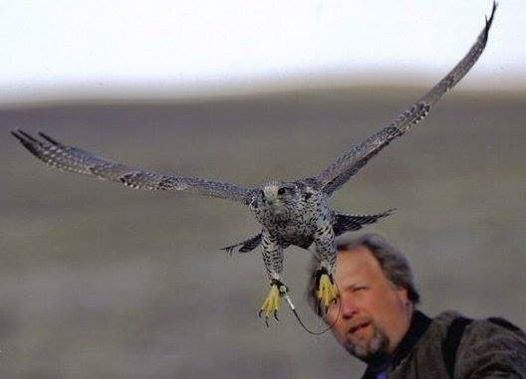 Prabhakar with falcon