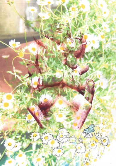 The-Far-Side-of-Tantra-(2)