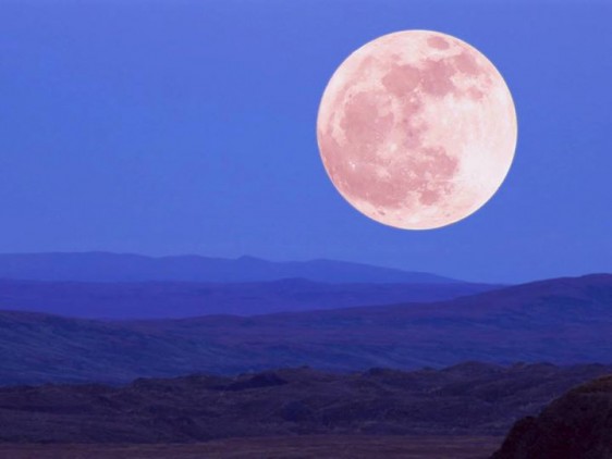 FULL MOON
