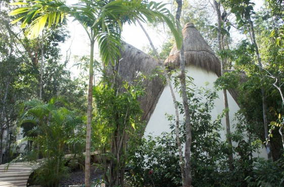 Cone - residential home