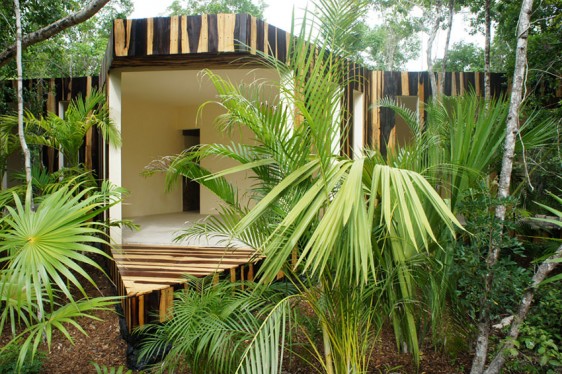 Hive studio