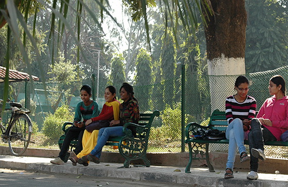 Post Grad Chandigarh Sector 42