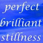 Perfect Brilliant Stillness Feat