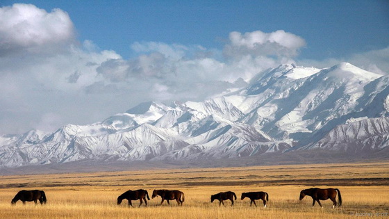 Setting Off on Pamir Highway
