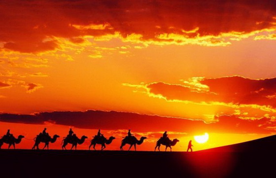Gobi Desert