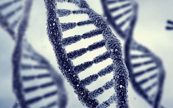 DNA
