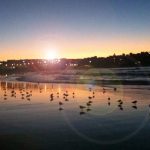 Bondi in the morning