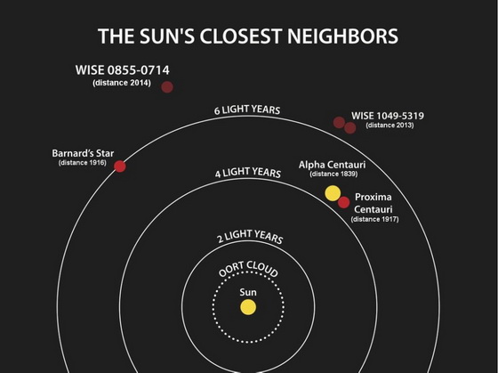 Sun's closest neighbours