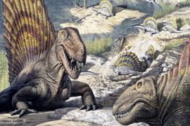 Synapsid reptiles