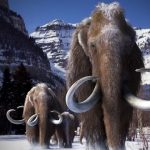 Mammoth