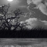 night with white full moon