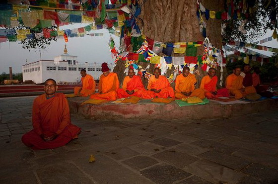 Buddhist monks