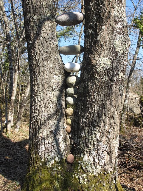Double-Tree with Stones