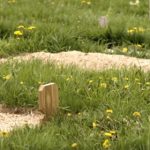 From one second to the next