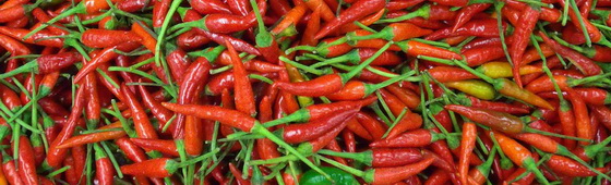 Hot chilli