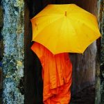 monks-umbrella-feat