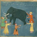 Touching elephant in the dark