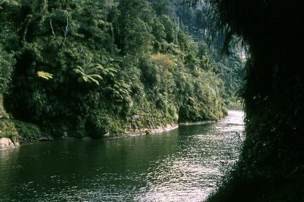 Whanganui river