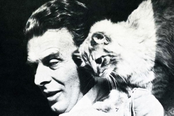 Huxley and cat