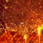 Bee hive, honey dripping