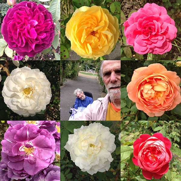 flower composite for Devopama