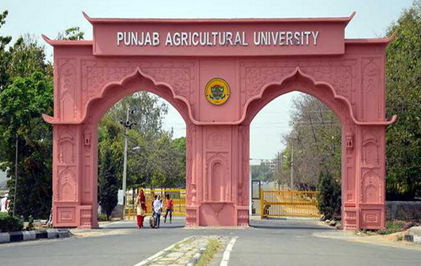 PAU Ludhiana