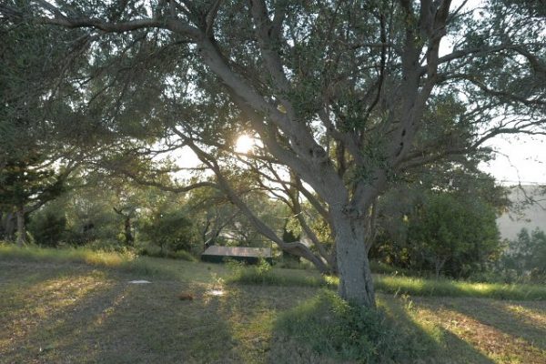 070 Tantra Essence Festival P1040648