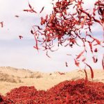 Chili flying in space