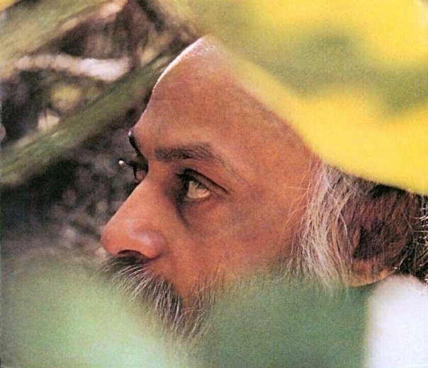 Osho in the garden