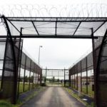 Out of jail