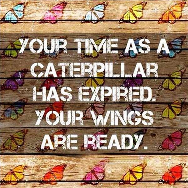 Your time as a caterpillar has expired. Your wings are ready.