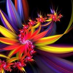 Jewels Front Cover Feat