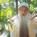 Osho Trees
