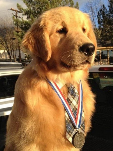 Mayor Max