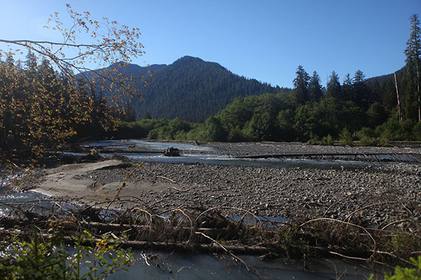 Near Hoh River Trail