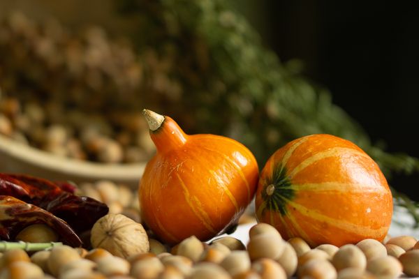 bW1sic2l6atwo small pumpkinsZSIsImxhcmdlIl1d_006