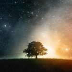 tree in stars
