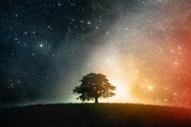 tree in stars