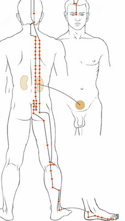 Bladder channel s