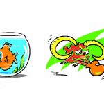 March: Pisces - Aries