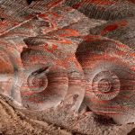 Uralkali Potash Feat