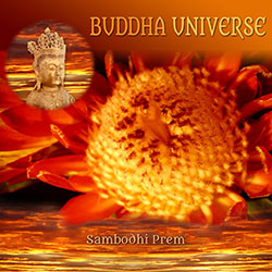 Buddha Universe