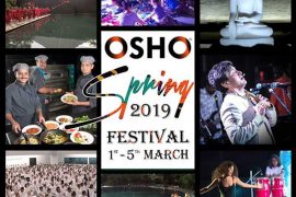 Spring Festival 2019
