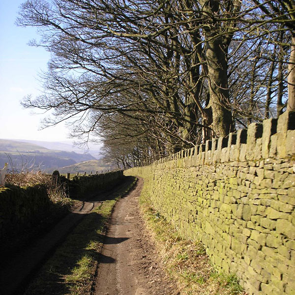 wall on walk