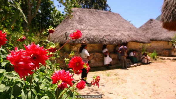 Arhuaco community