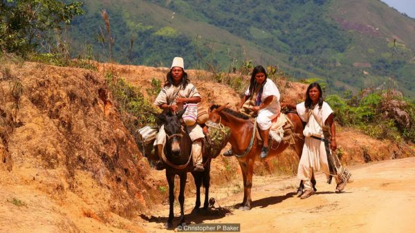 The Sierra people