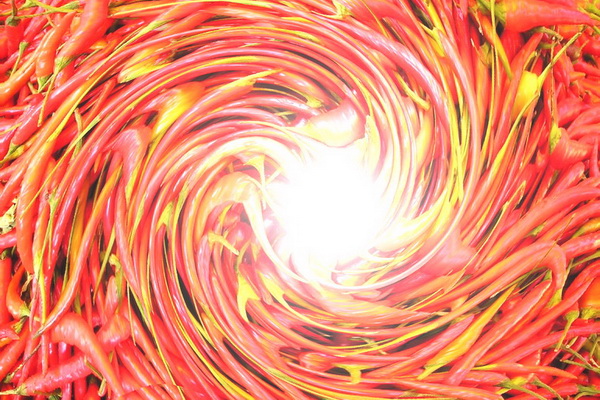 Chilli and sun