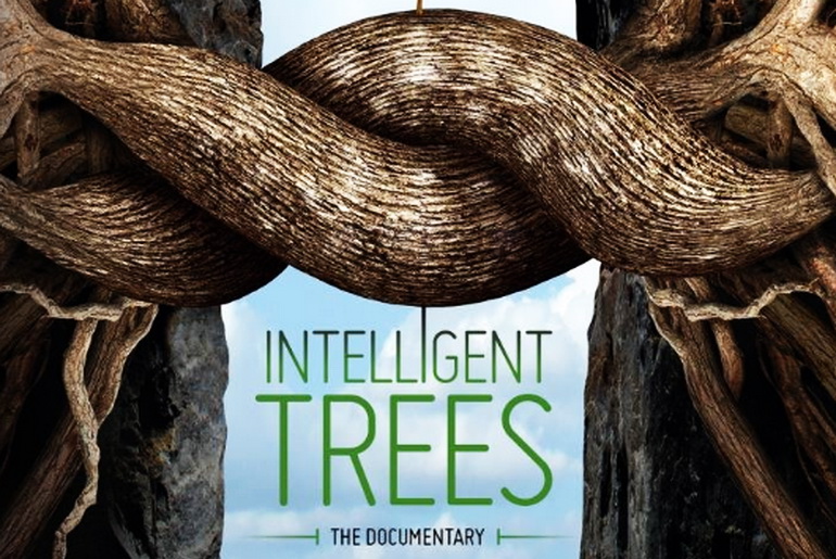 Intelligent Trees The Documentary Osho News