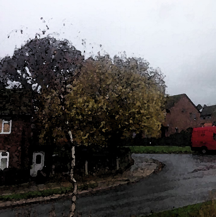 Self-Healing on a November Day